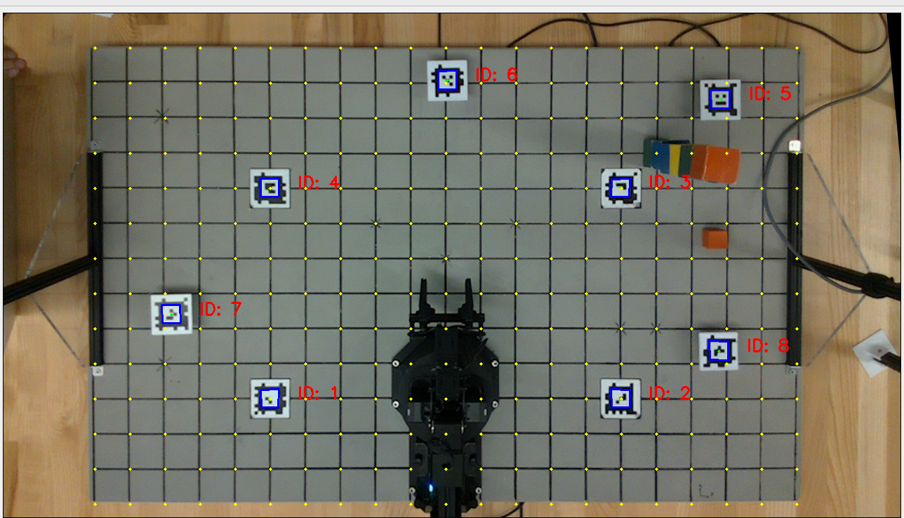 Calibrated Camera View with Grid Overlaid.