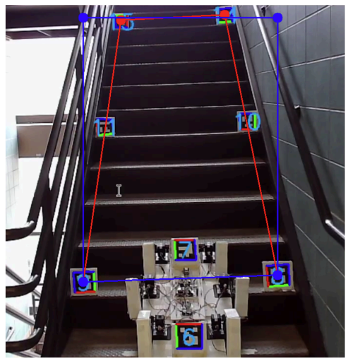 Top-Down Rectification via Homography.